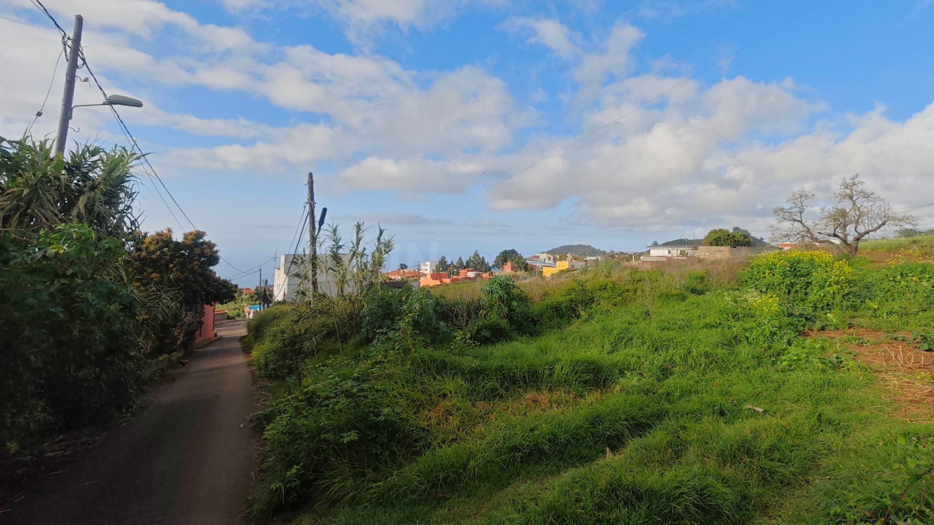 TERRENO URBANIZABLE EN AGUA GARCIA (TACORONTE) - foto 5