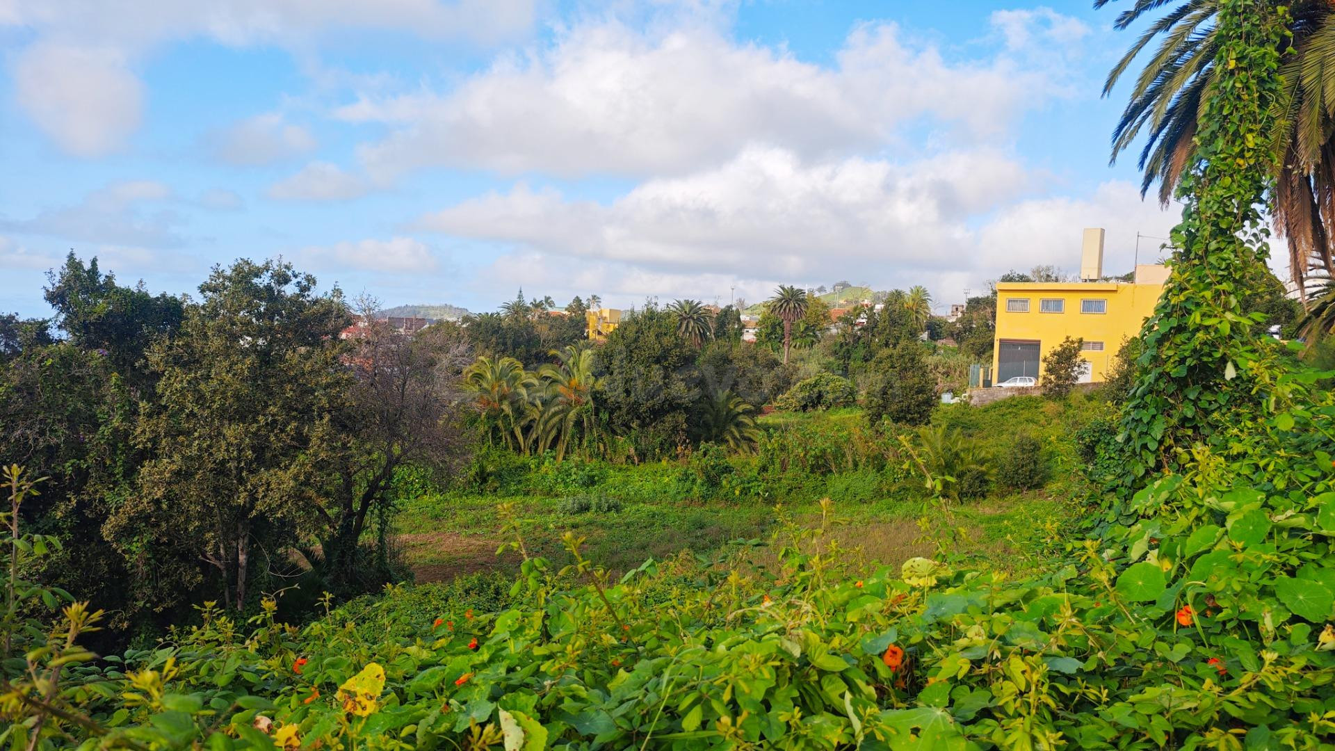TERRENO URBANO EN TACORONTE - foto 4