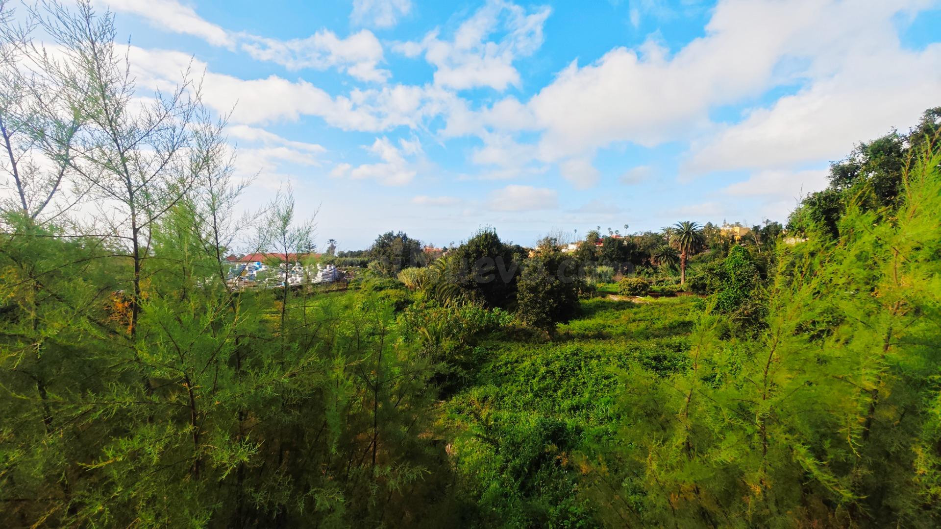 TERRENO URBANO EN TACORONTE - foto 5
