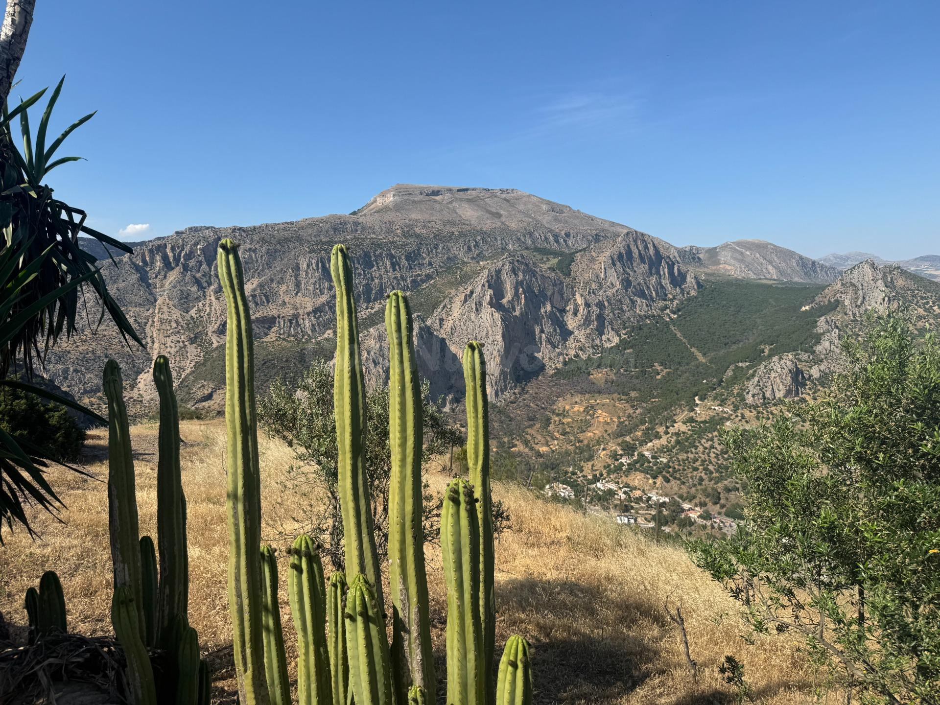 Finca con vistas espectaculares al Chorro, uso comercial y d - foto 4