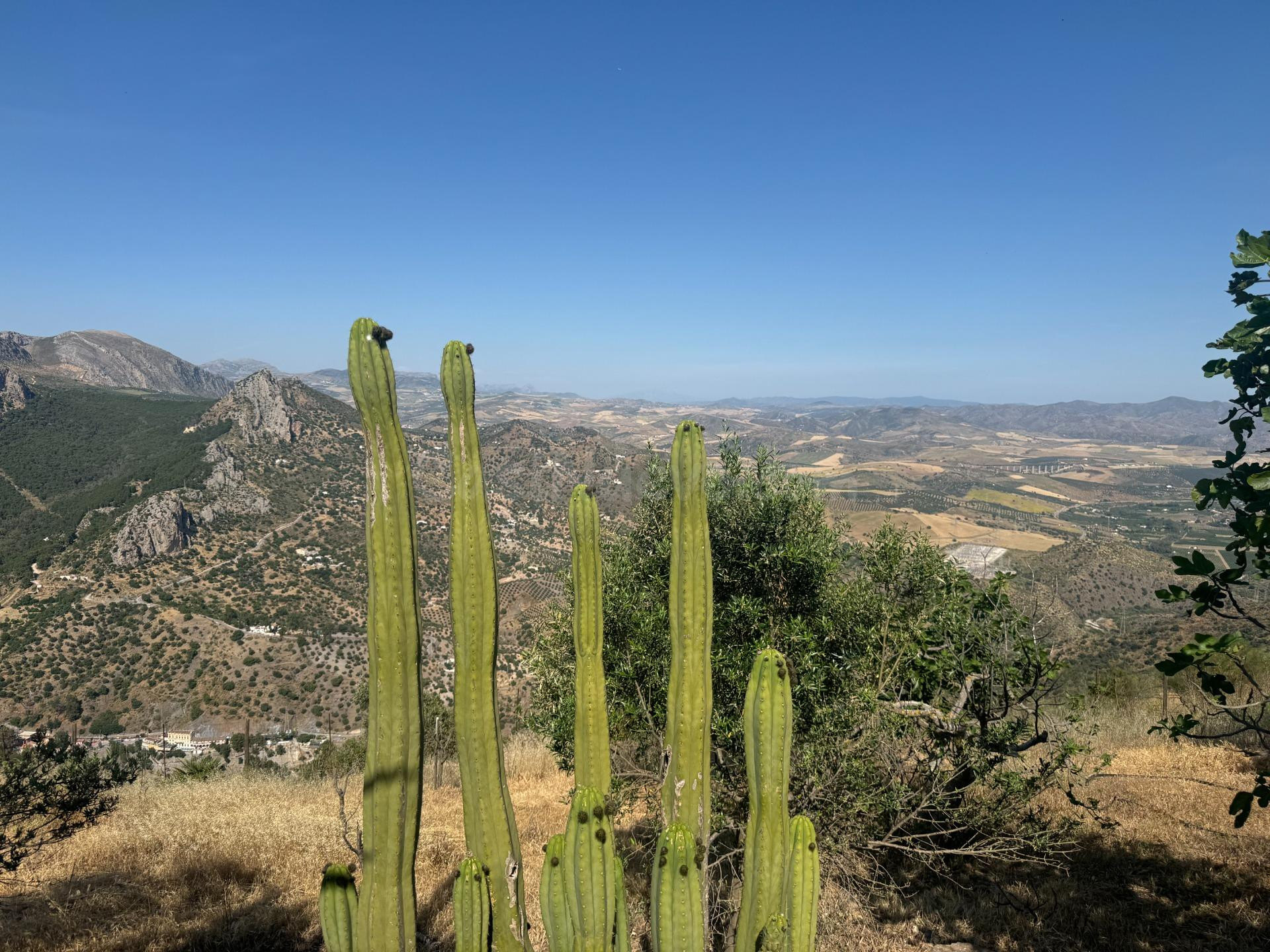 Finca con vistas espectaculares al Chorro, uso comercial y d - foto 5