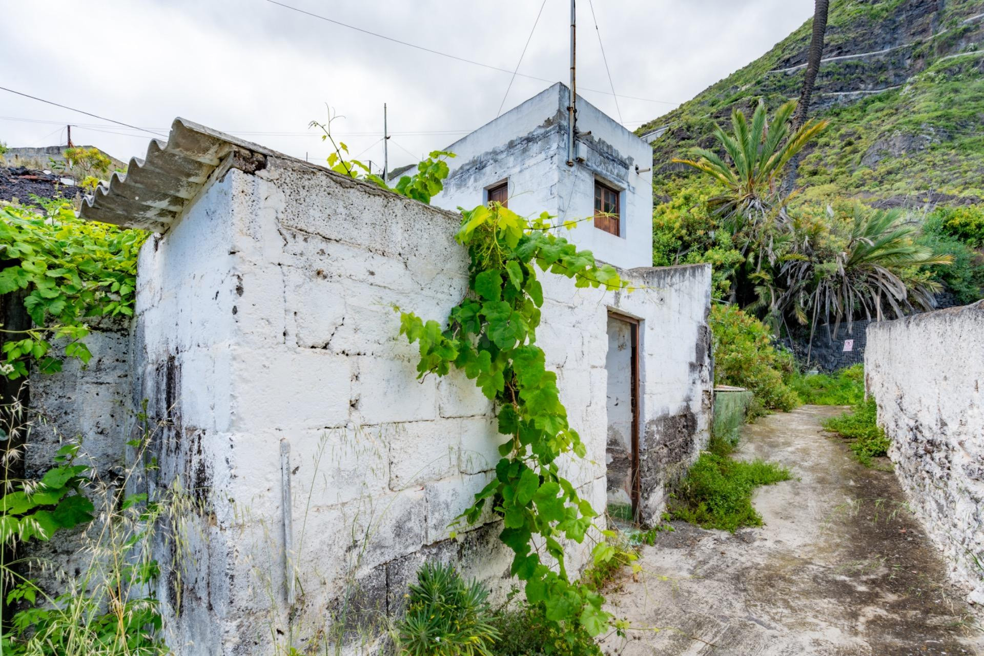 Finca con edificación en Garachico
