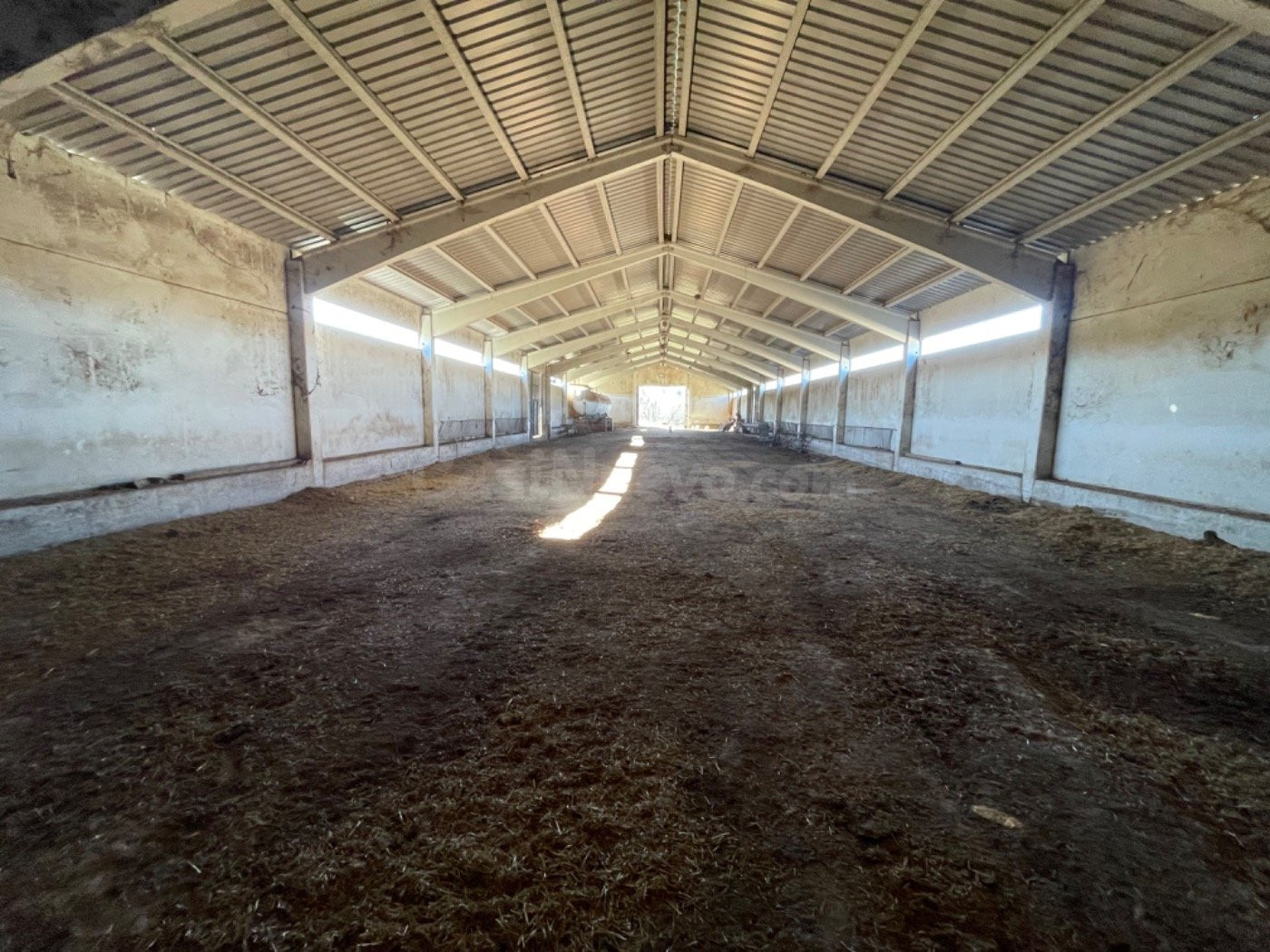 NAVE PARA DIVERSAS UTILIDADES EN PRIEGO (CUENCA) - foto 4