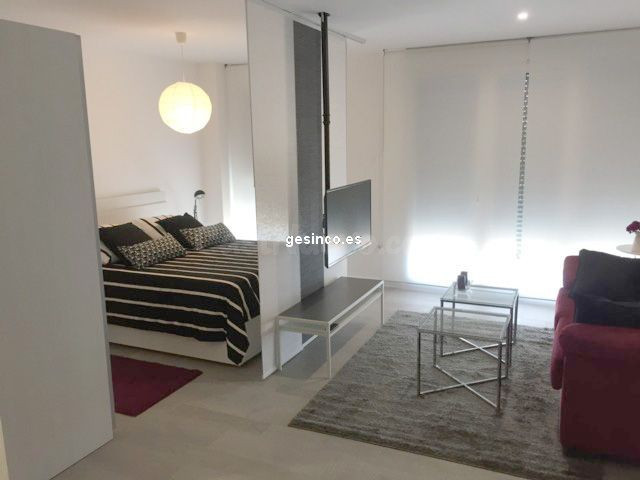 ESTUDIO TIPO LOFT CON PLAZA DE GARAJE