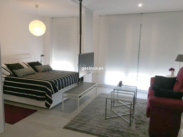 ESTUDIO TIPO LOFT CON PLAZA DE GARAJE - foto 2