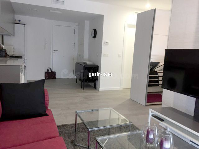 ESTUDIO TIPO LOFT CON PLAZA DE GARAJE - foto 3