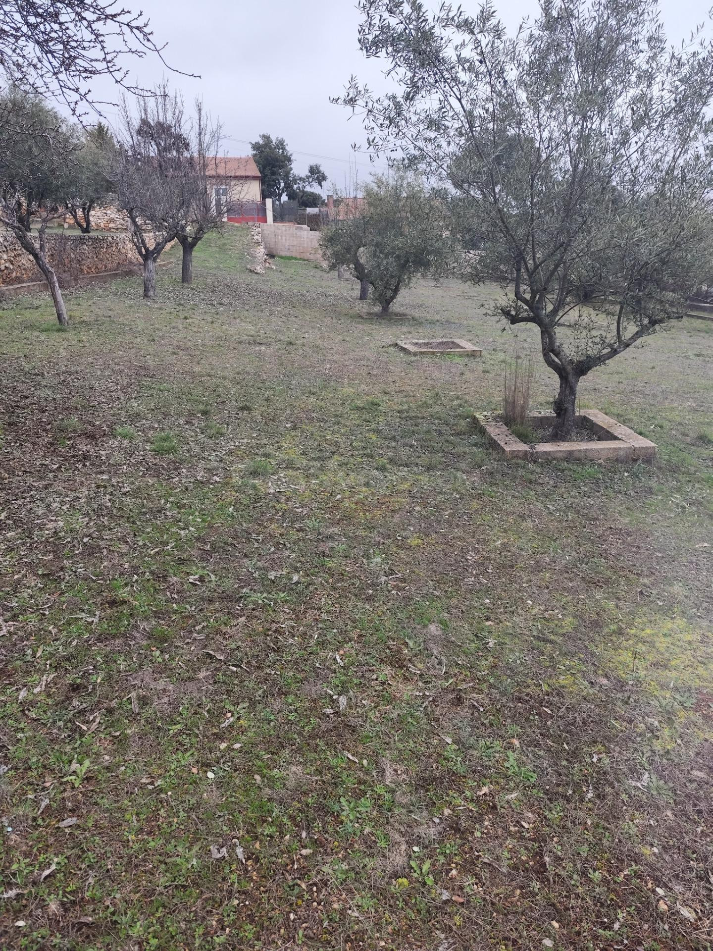 Parcela Urbana en Hontoba (El Mirador) - foto 2