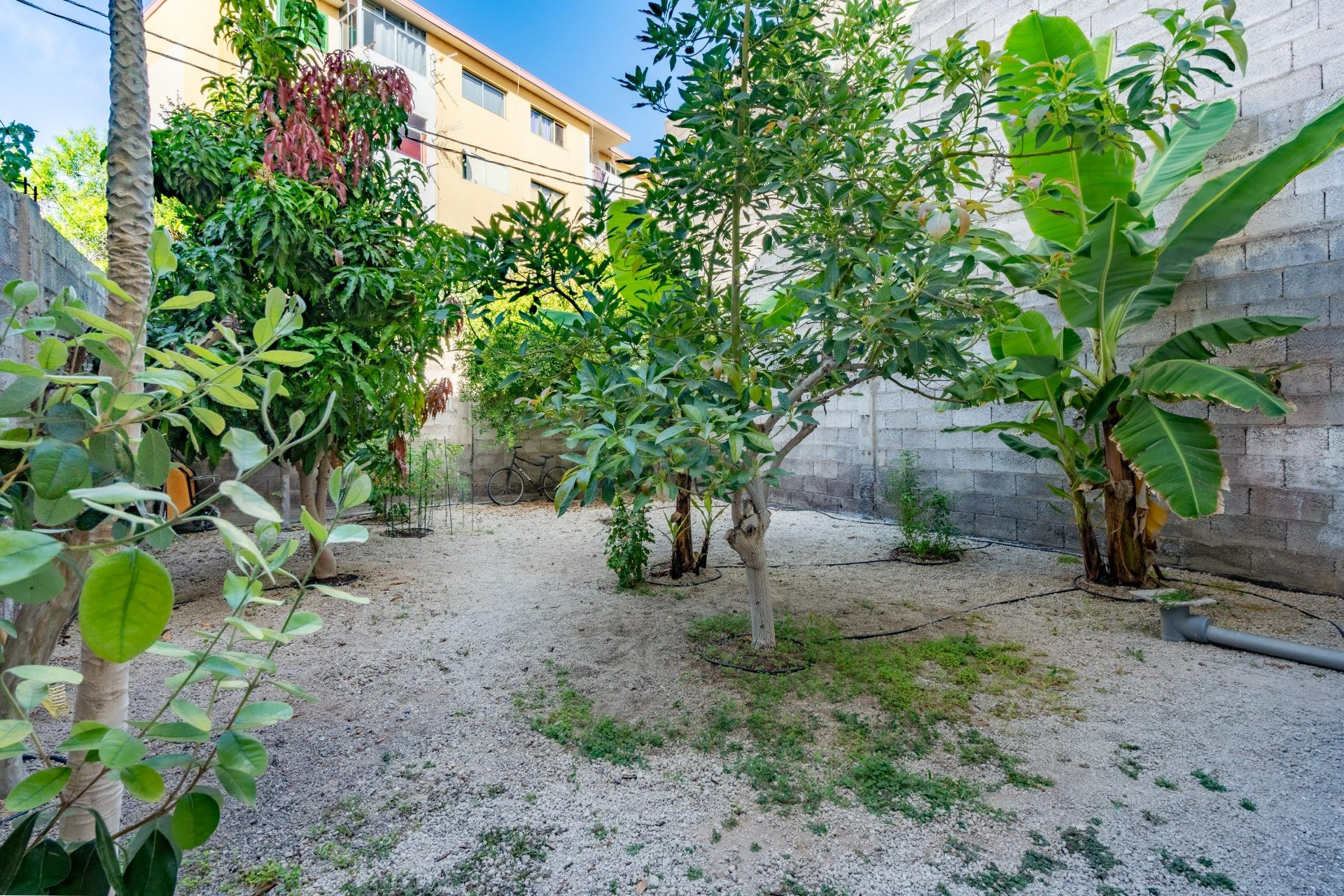 EDIFICIO REFORMADO DE 5 VIVIENDAS, GARAJE Y TERRENO URBANO ( - foto 2