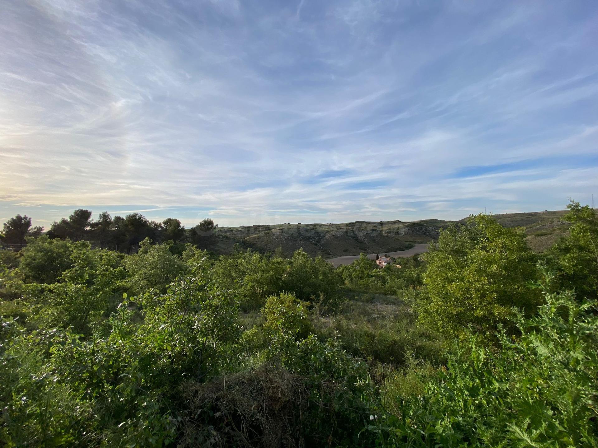 IMPRESIONANTE PARCELA EN EL ROBLEDAL, VILLALBILLA - foto 2