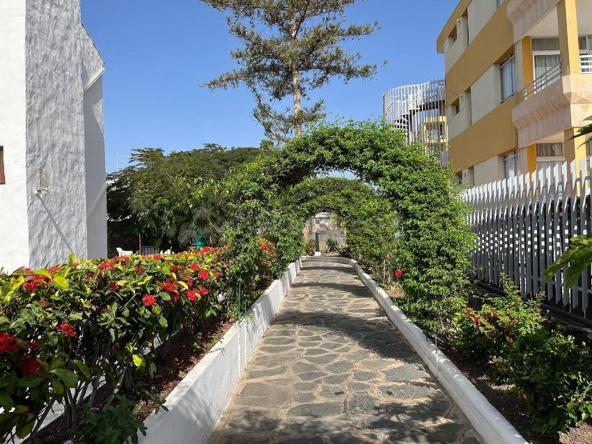 Apartmento de temporada en Las Orquideas