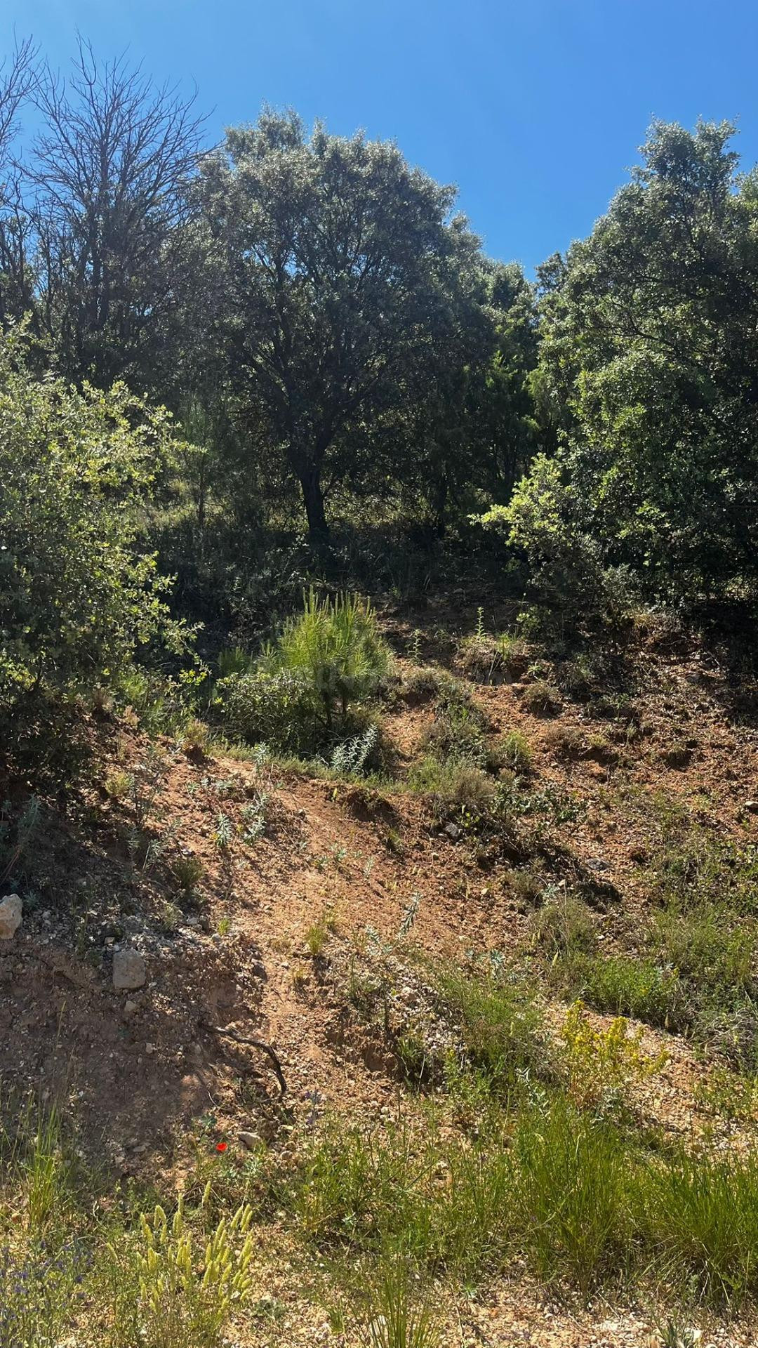 Parcela urbana de 1.300 m2 en Los Manantiales, Hontoba - foto 4