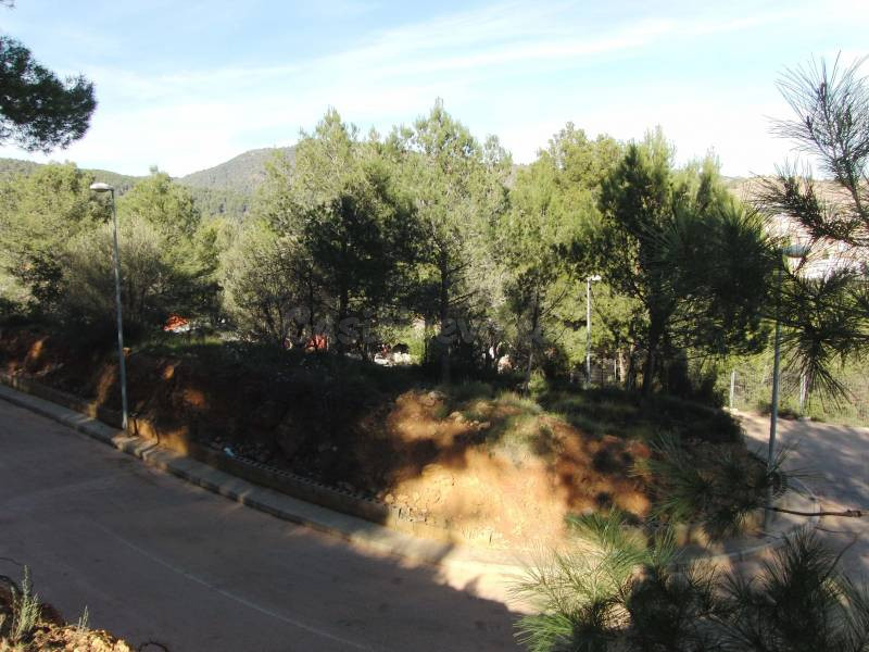 PARCELA EN VENTA