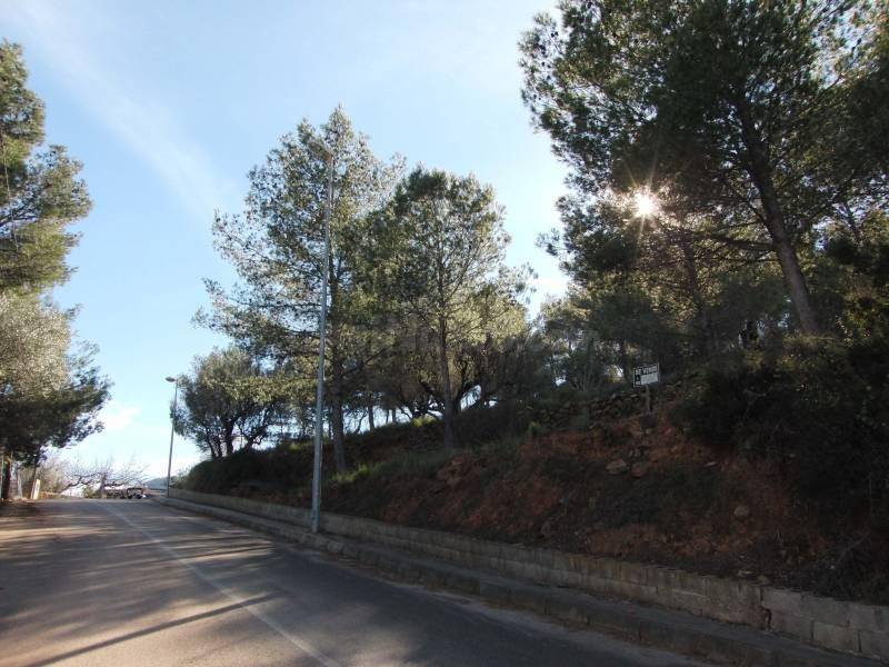 PARCELA EN VENTA - foto 3