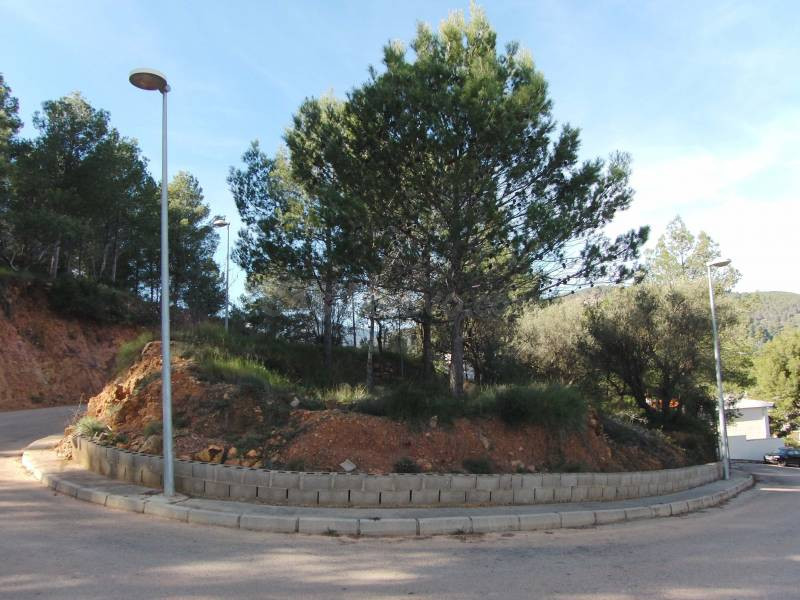 PARCELA EN VENTA - foto 4