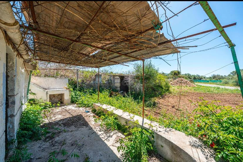 Casa agrícola con proyecto en Manacor - foto 2