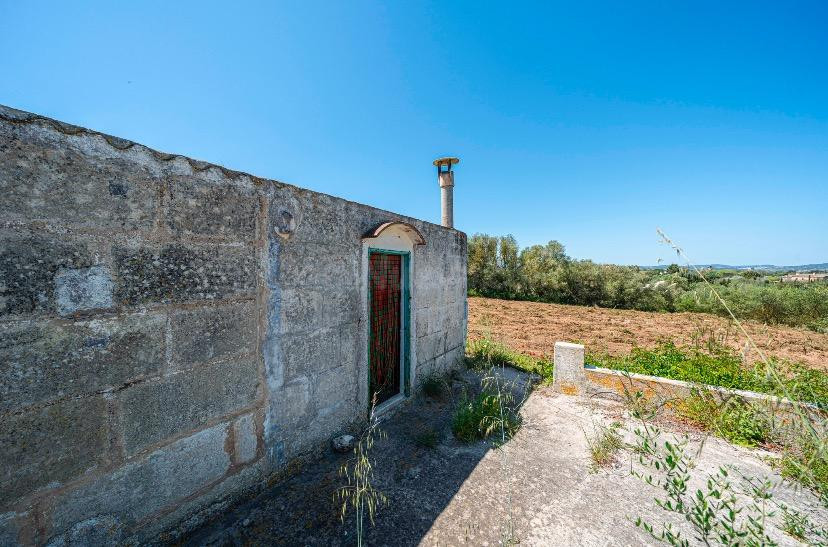 Casa agrícola con proyecto en Manacor - foto 3