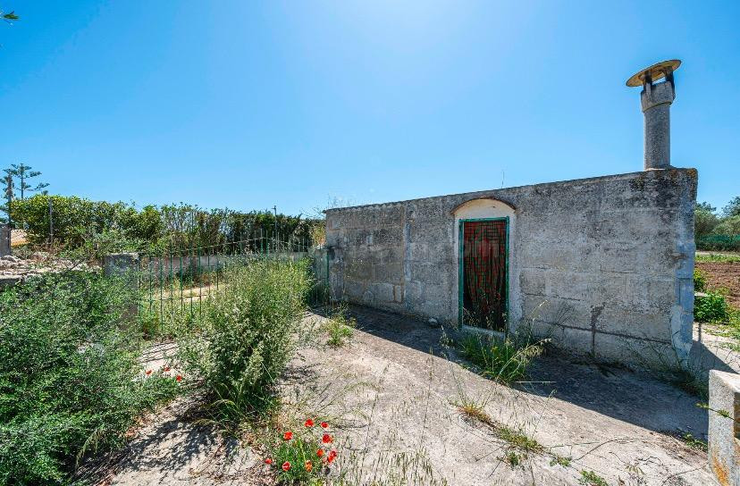 Casa agrícola con proyecto en Manacor - foto 4