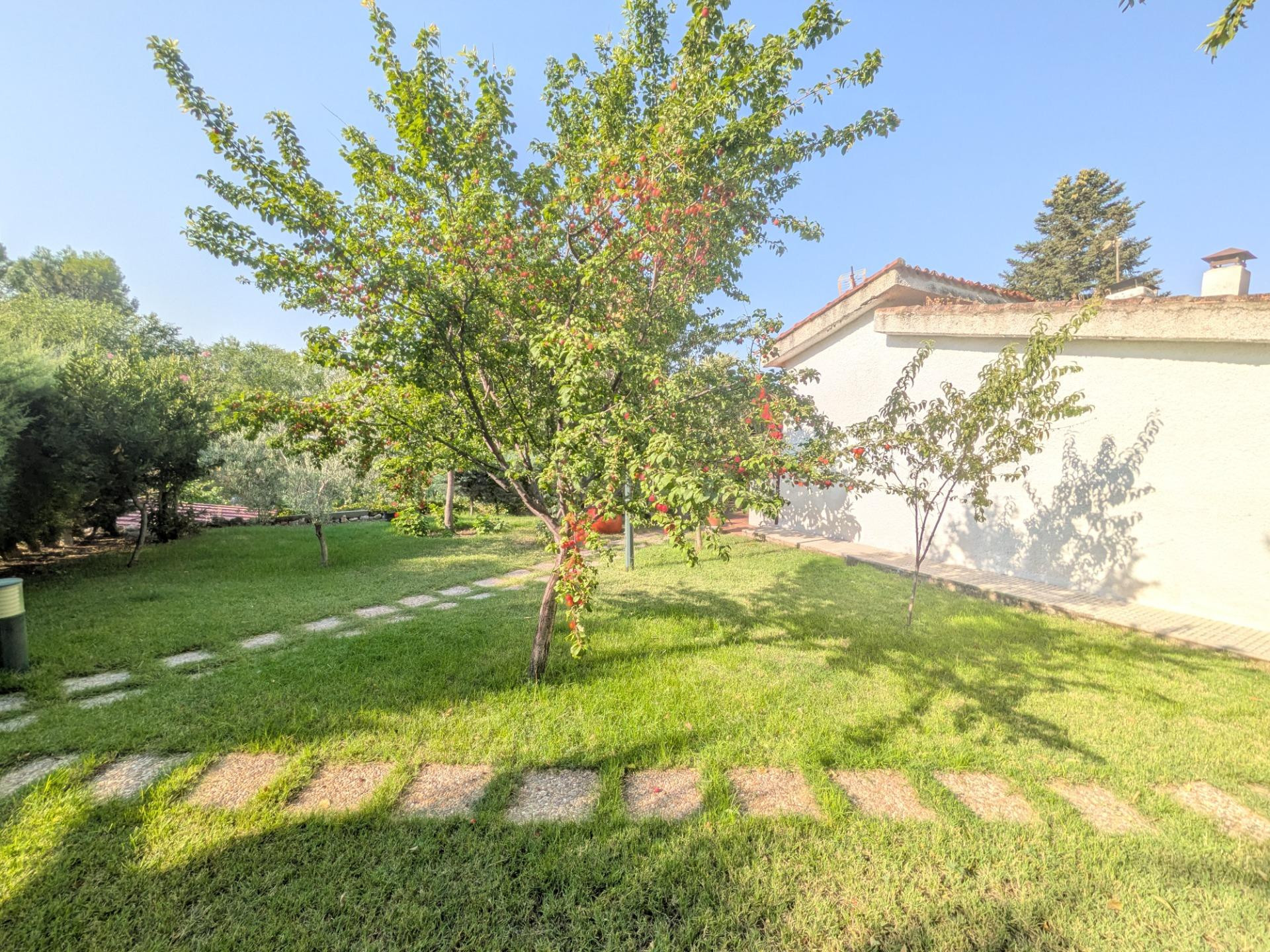 VENTA CHALET PAREADO VILLALBILLA - foto 3