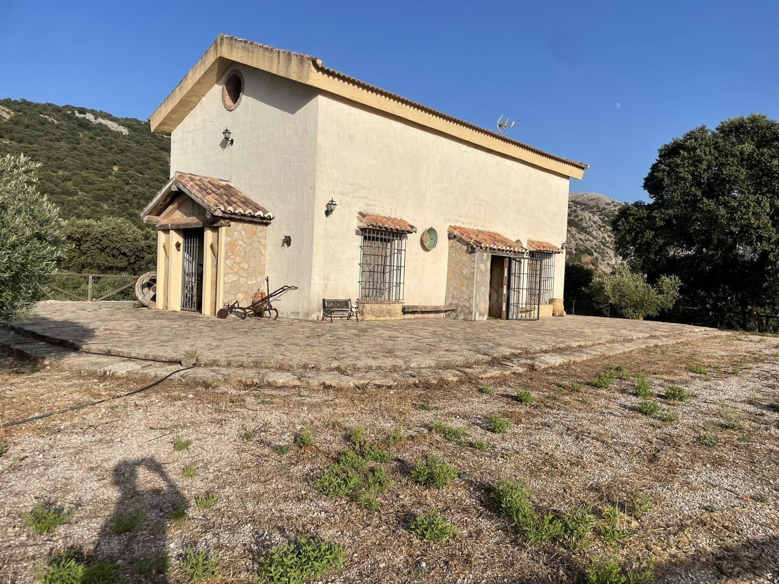 ESTUPENDA FINCA EN ALFARNATE