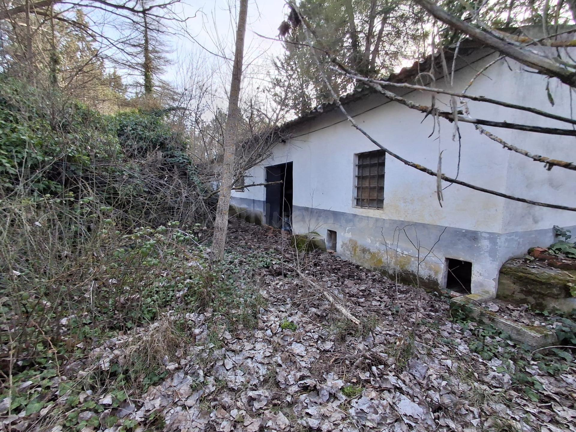 FINCA CON VIVIENDA PARA ALQUILER - foto 2