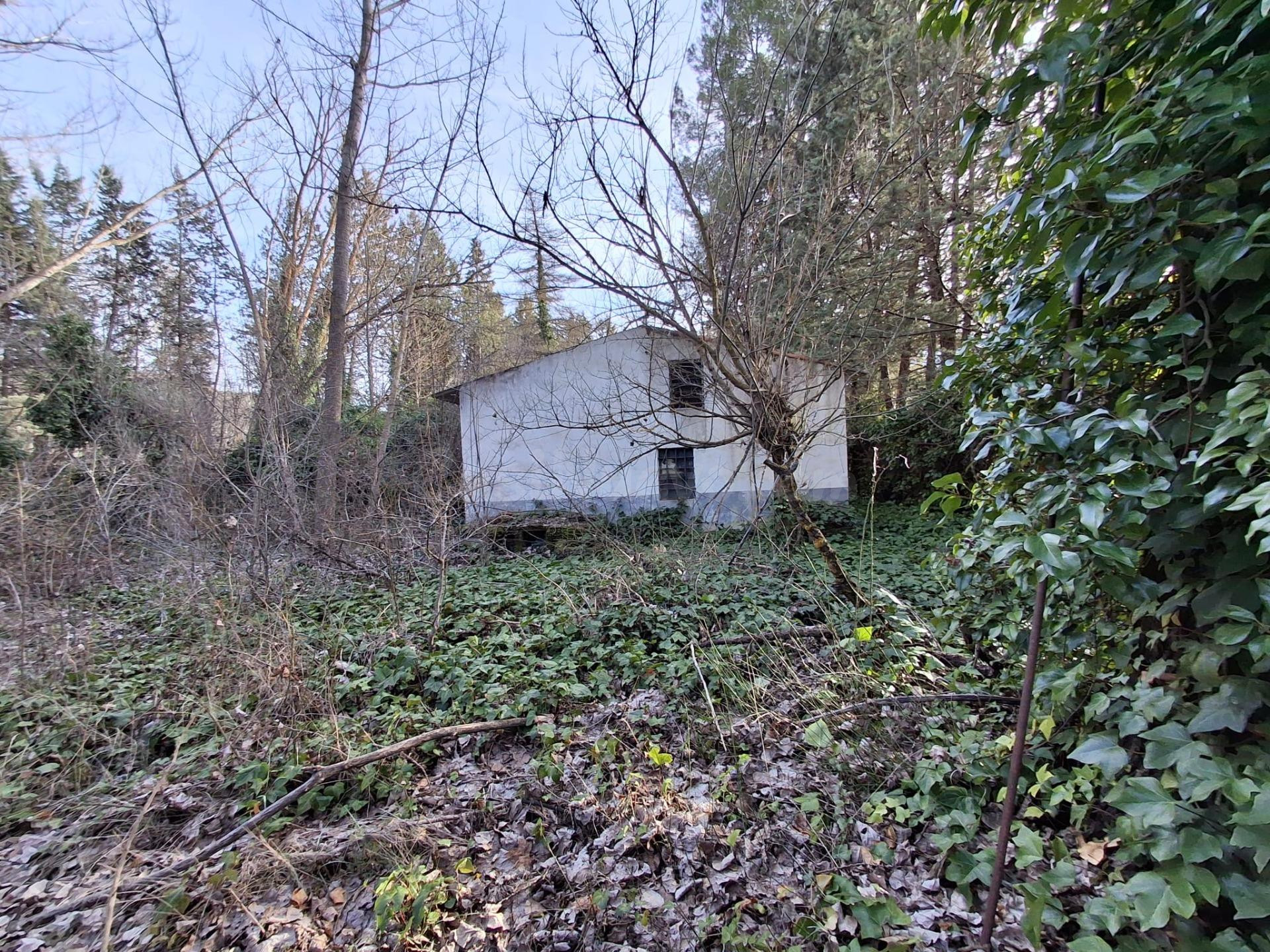 FINCA CON VIVIENDA PARA ALQUILER - foto 3