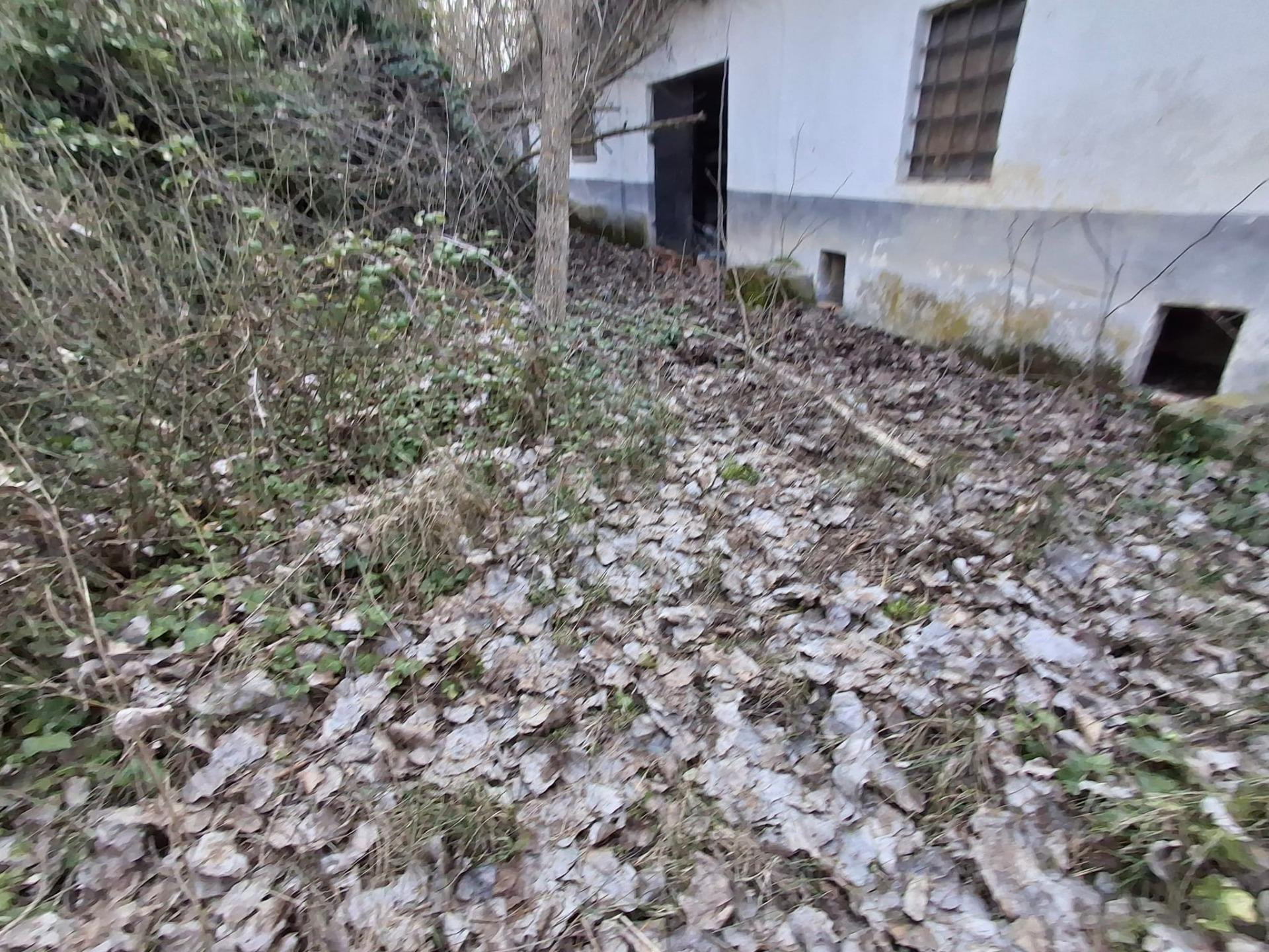 FINCA CON VIVIENDA PARA ALQUILER - foto 4