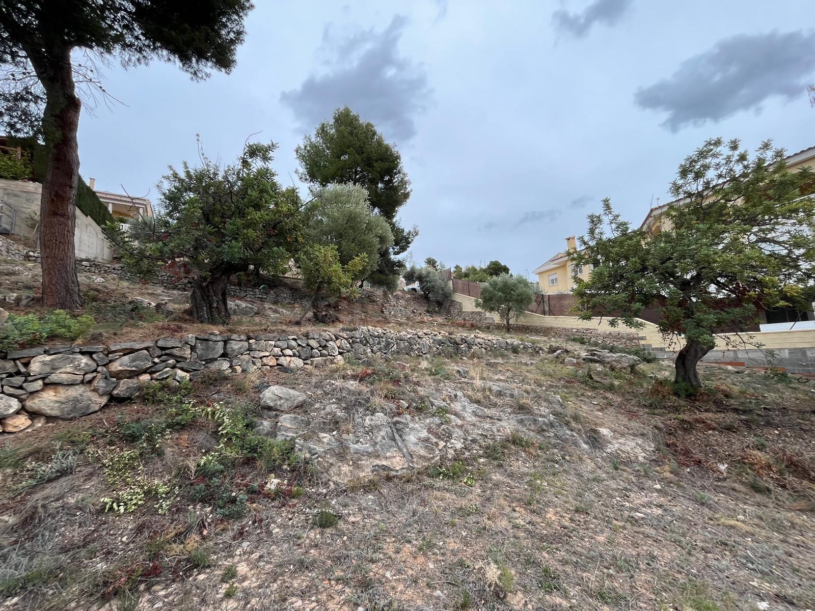 TERRENO URBANO EN MASIA GAETA - foto 5