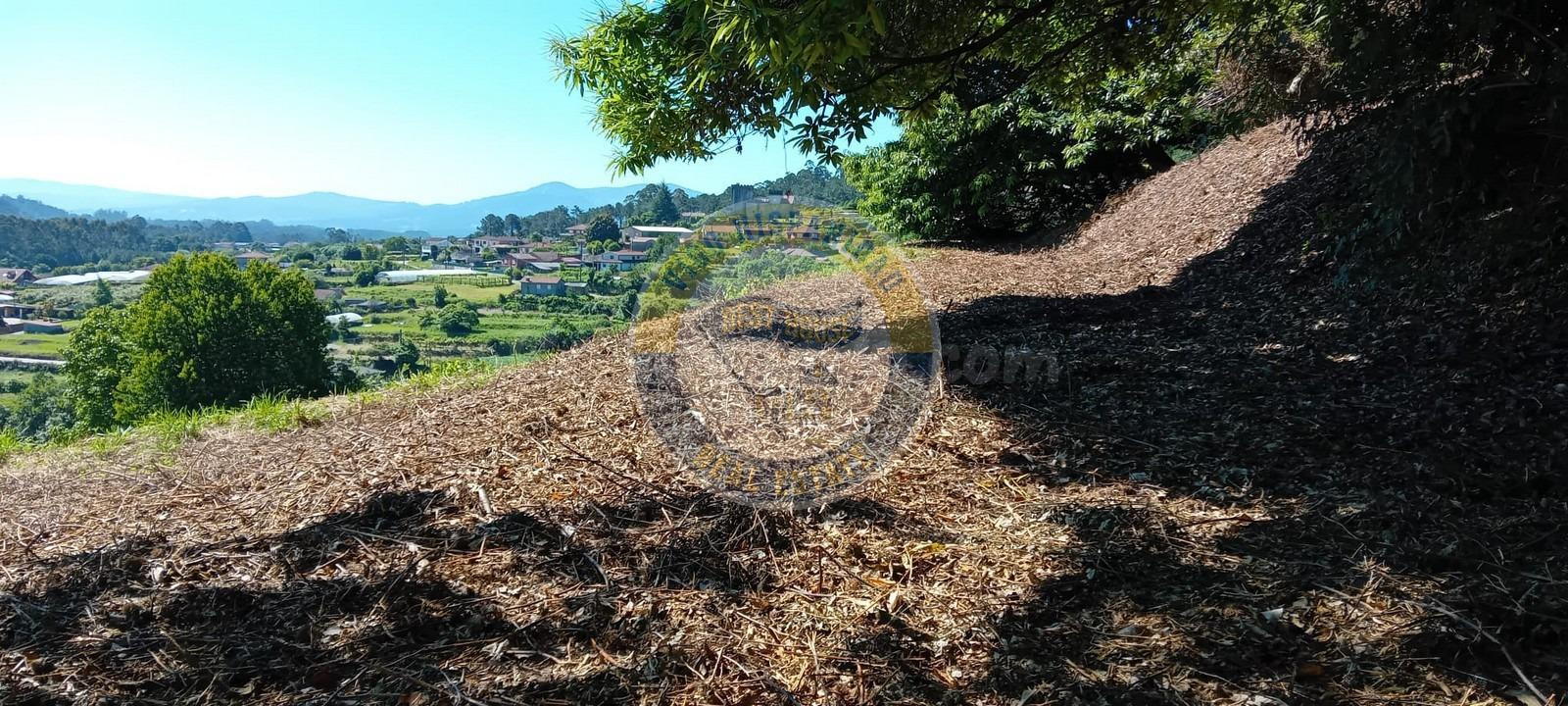 ¡Oportunidad única en Tebra (Tomiño)! Parcela de 3689 m2 tot - foto 2