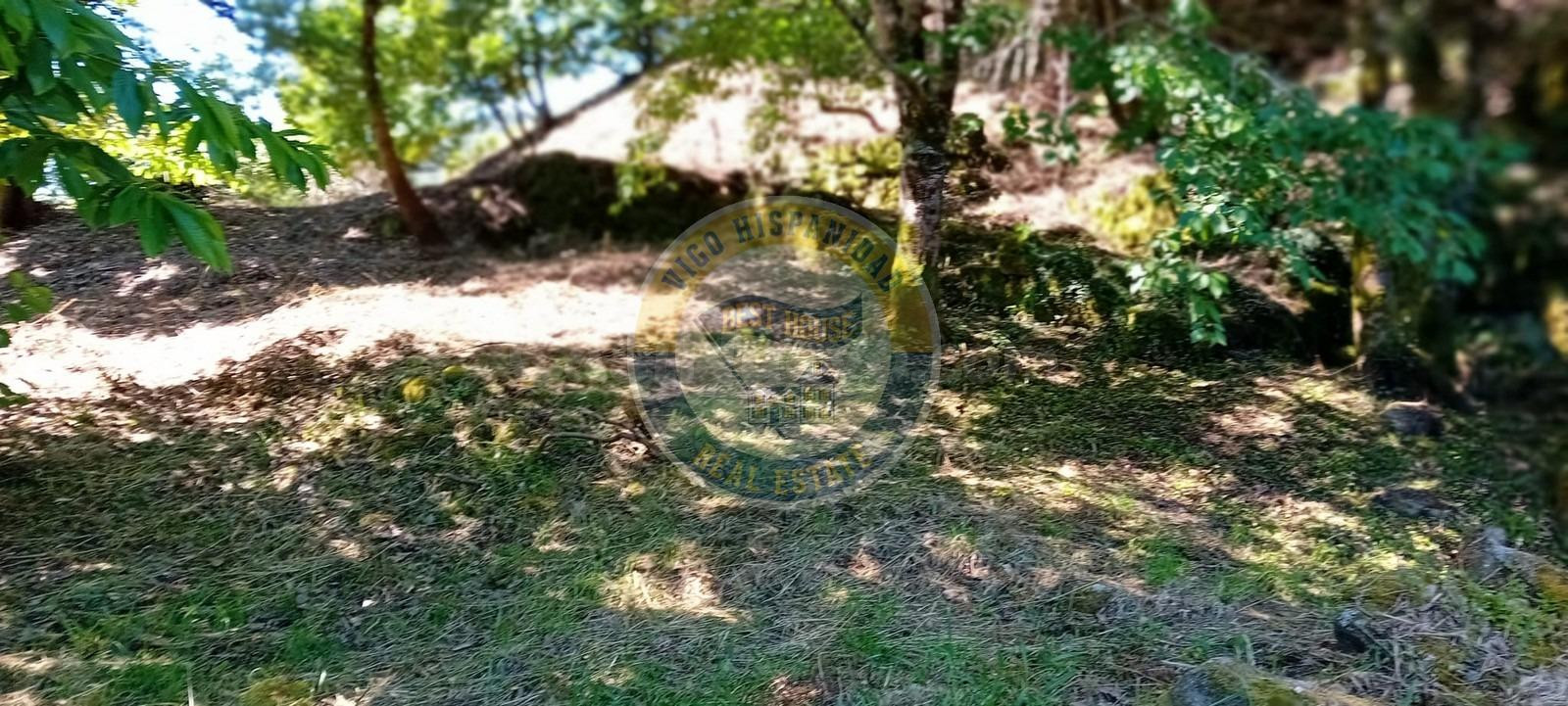 ¡Oportunidad única en Tebra (Tomiño)! Parcela de 3689 m2 tot - foto 3