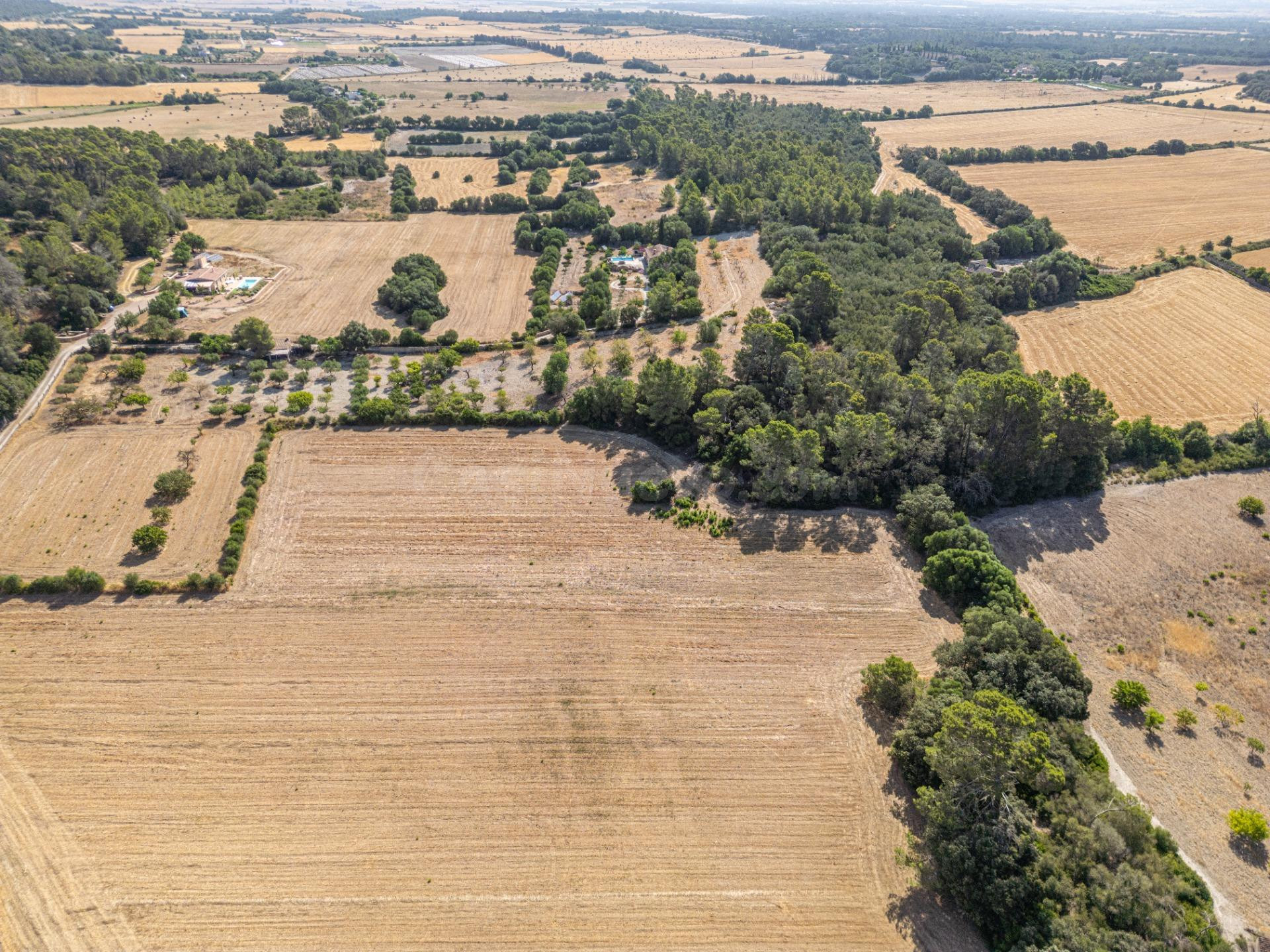 Conjunto de parcelas rústicas en venta en Porreres (Mallorca