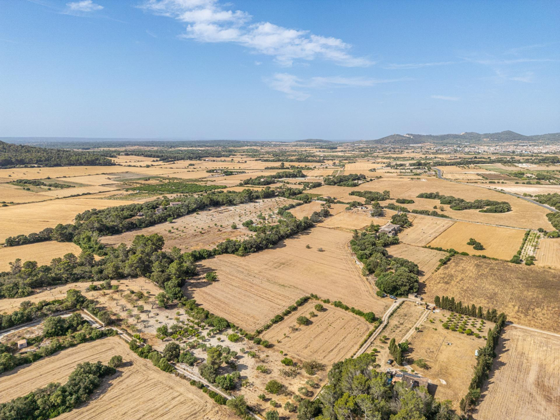 Conjunto de parcelas rústicas en venta en Porreres (Mallorca - foto 2