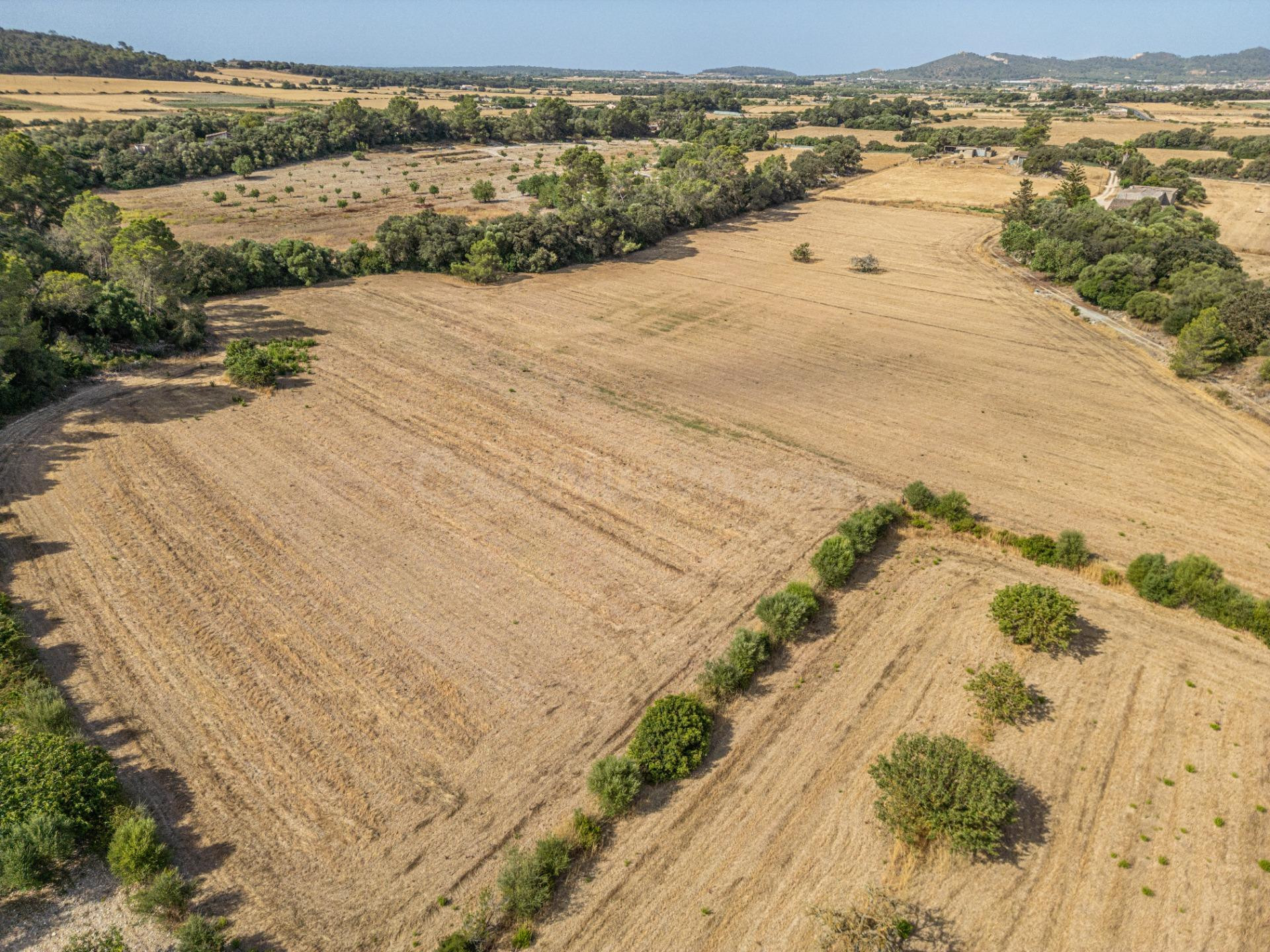 Conjunto de parcelas rústicas en venta en Porreres (Mallorca - foto 3