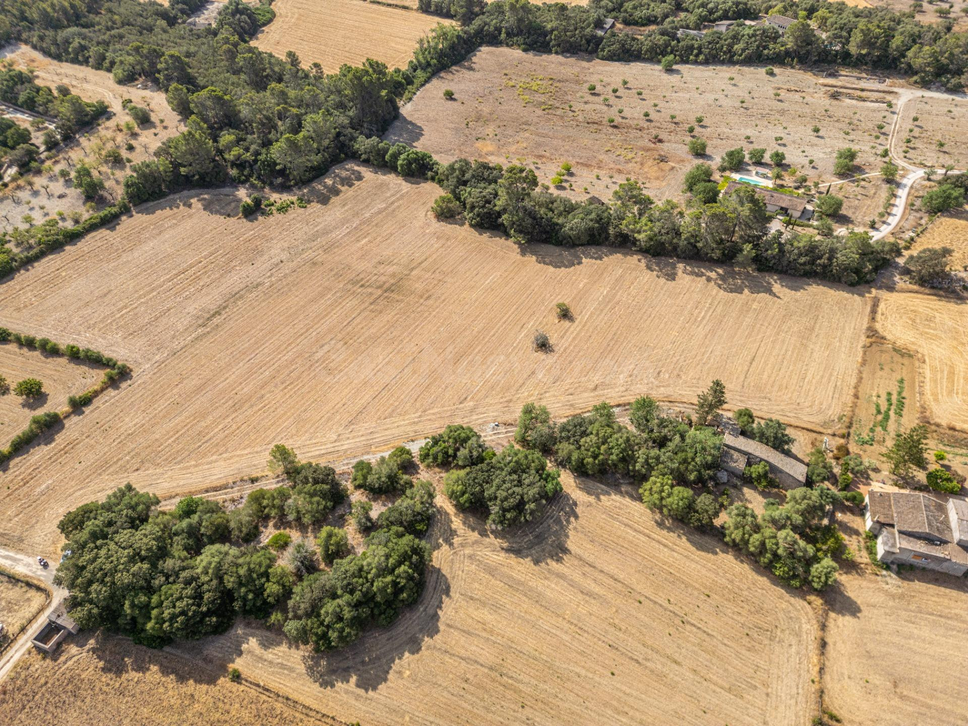 Conjunto de parcelas rústicas en venta en Porreres (Mallorca - foto 5