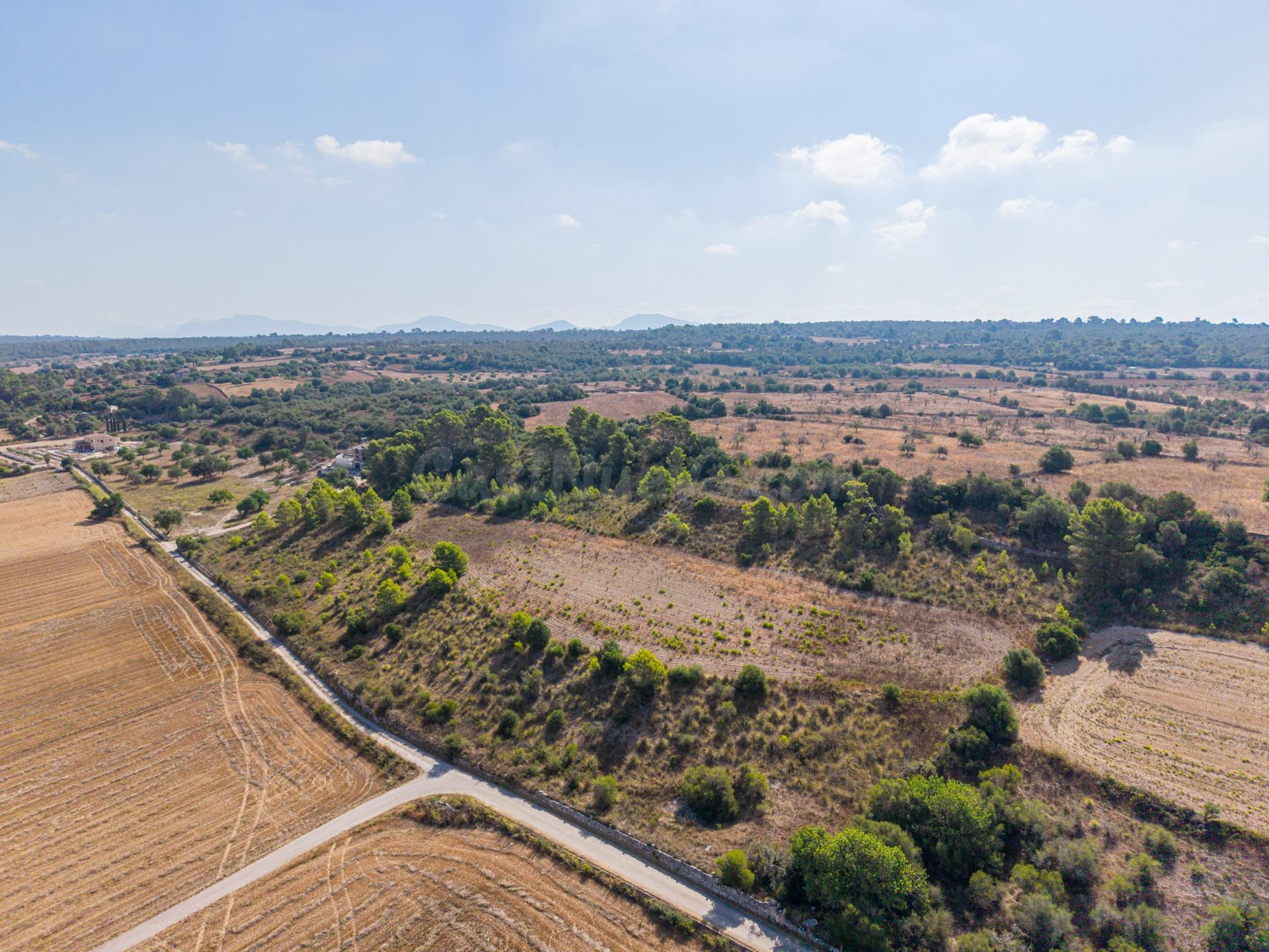 Terreno edificable de 29.547 m2 con vistas despejadas en Pet