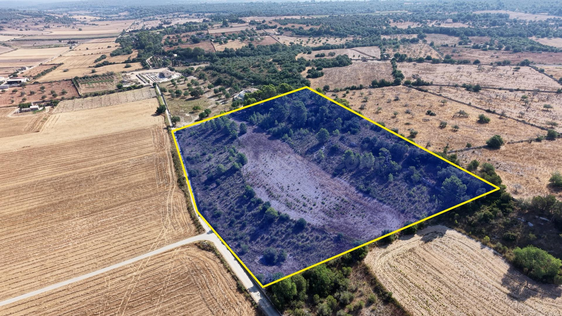 Terreno edificable de 29.547 m2 con vistas despejadas en Pet - foto 3