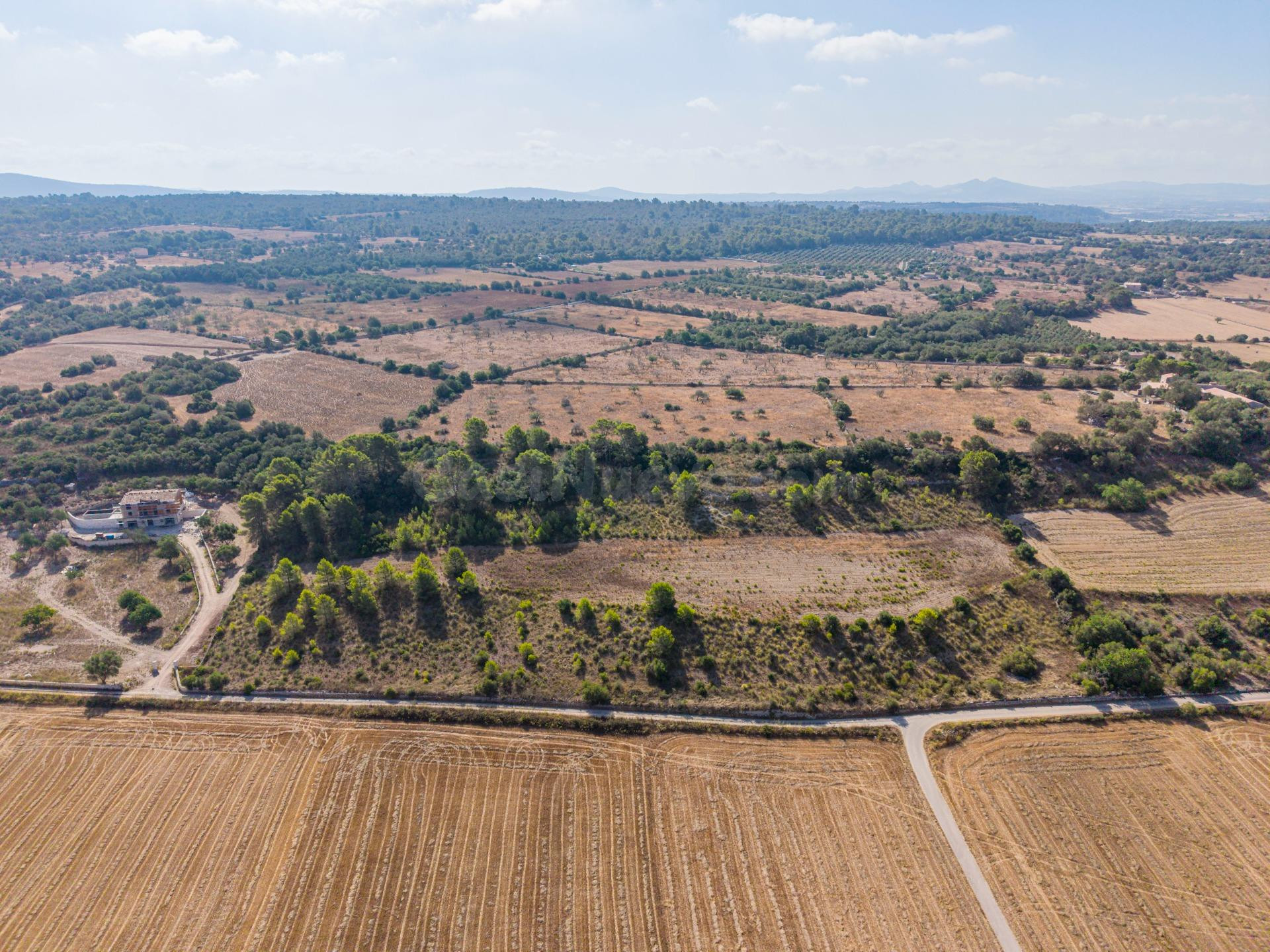 Terreno edificable de 29.547 m2 con vistas despejadas en Pet - foto 4