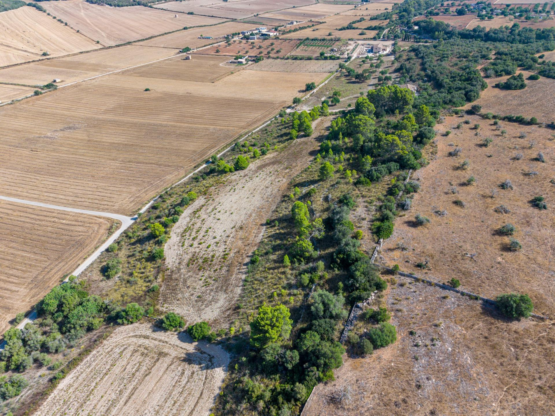 Terreno edificable de 29.547 m2 con vistas despejadas en Pet - foto 5