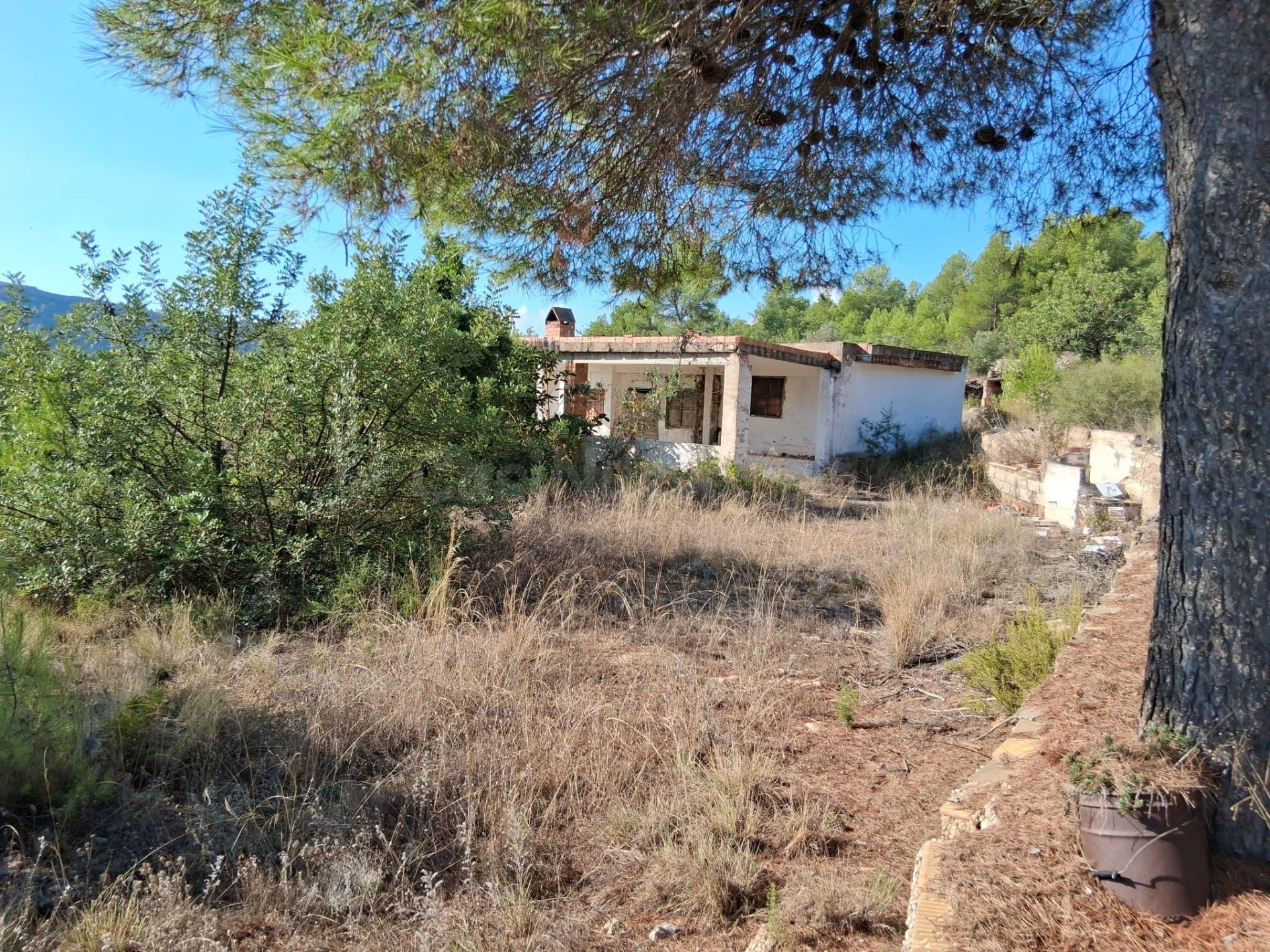 Terreno en Pedrissetes, Alcora-Rustico de 13.005 Metros - foto 2