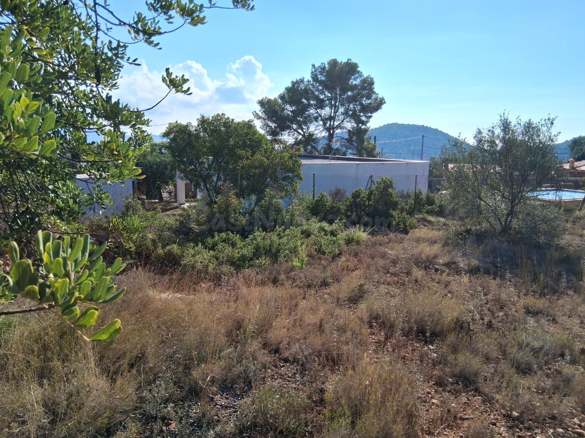 Terreno en Pedrissetes, Alcora-Rustico de 13.005 Metros - foto 4