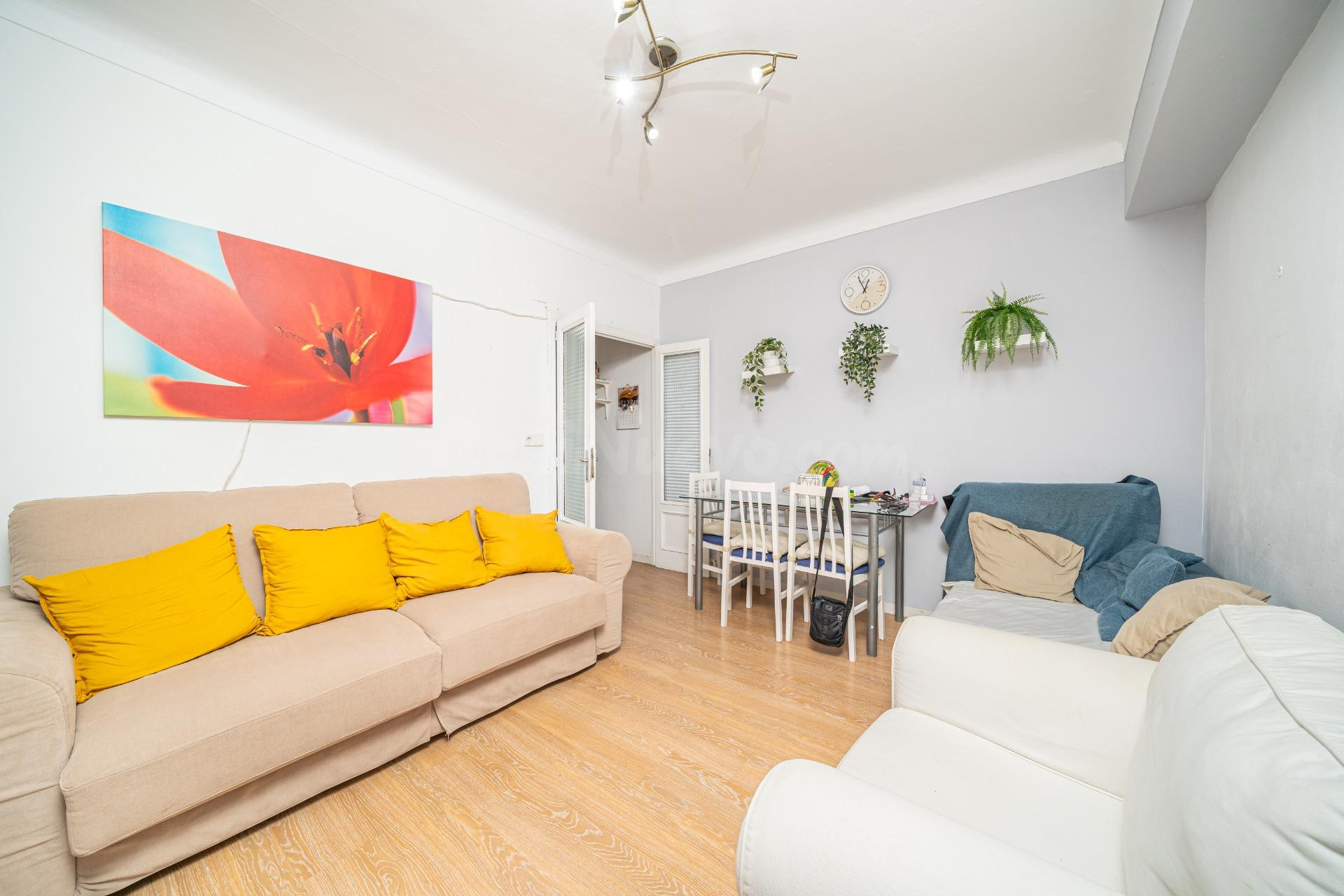 Piso de dos habitaciones con trastero en zona Arxiduc – Plaz - foto 2