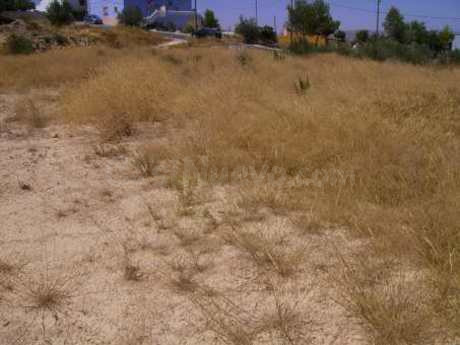 Terreno urbano 1350m² en venta - Valentín - foto 2
