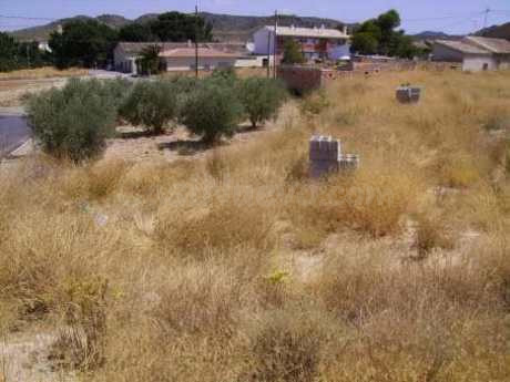 Terreno urbano 1350m² en venta - Valentín - foto 4