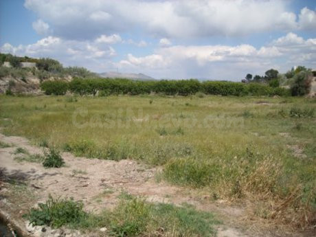 Parcela en venta - Calasparra