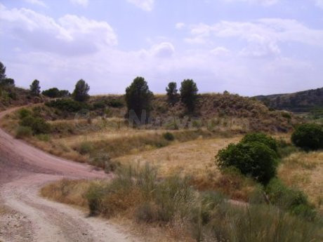 Terreno urbano 5000m² en venta - Calasparra