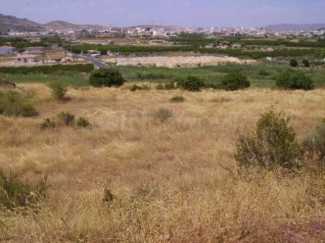Terreno urbano 5000m² en venta - Calasparra - foto 2