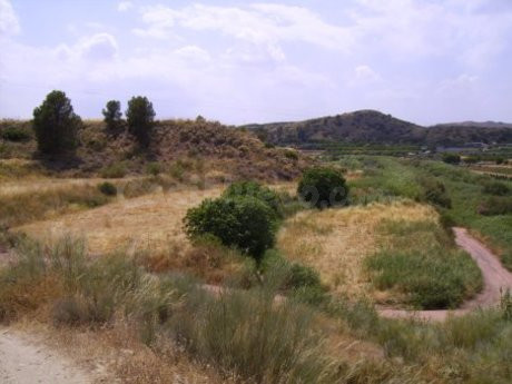 Terreno urbano 5000m² en venta - Calasparra - foto 3