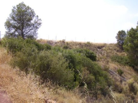 Terreno urbano 5000m² en venta - Calasparra - foto 5