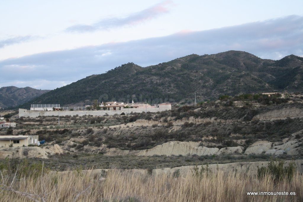 ¡¡ GRAN OPORTUNIDAD !! Finca rústica con casa cueva en Abani - foto 2