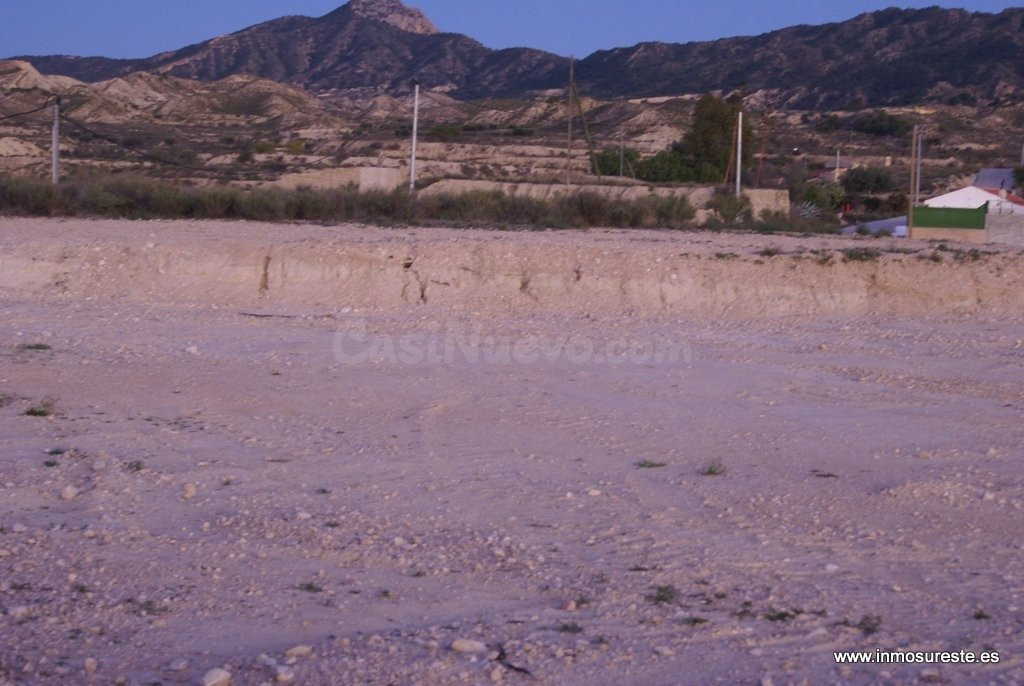 ¡¡ GRAN OPORTUNIDAD !! Finca rústica con casa cueva en Abani - foto 4