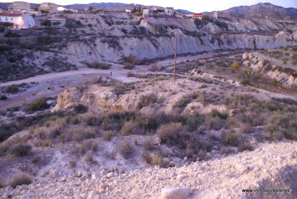 ¡¡ GRAN OPORTUNIDAD !! Finca rústica con casa cueva en Abani - foto 5